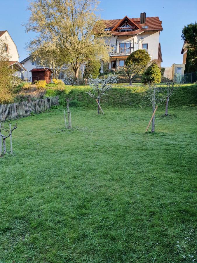 Ferienwohnung Lavendel Lahr (Baden-Wurttemberg) Exterior photo